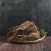 썸네일(스크롤)